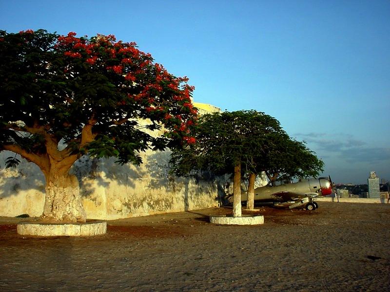 Foto: Angola-Soio