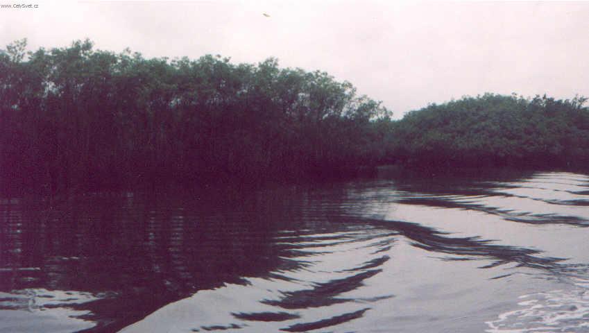 Foto: Braz�lie-jedeme deltou k ostrovu Ilha do Mel