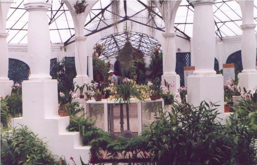 Foto: Braz�lie-sklen�k s orchidejemi v botanick� zahrad�