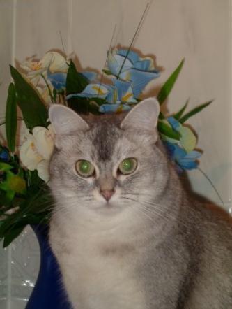Foto: Burmilla