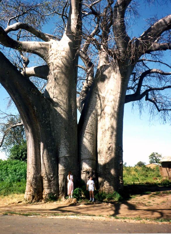 Foto: Malawi-Salima