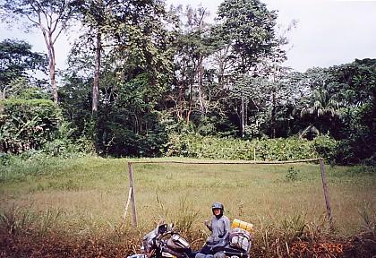 Foto: Rovn�kov� Guinea