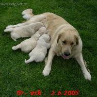 Foto: �t�n� a v�e o n�m