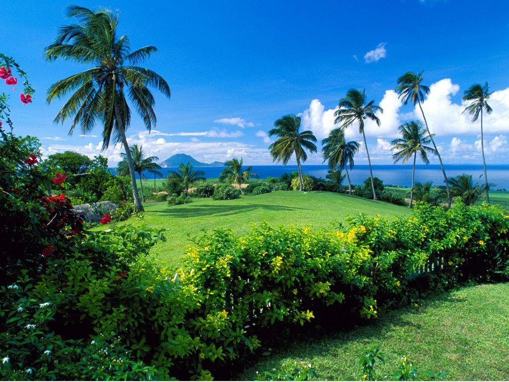 Foto: Svat� Kry�tof a Nevis