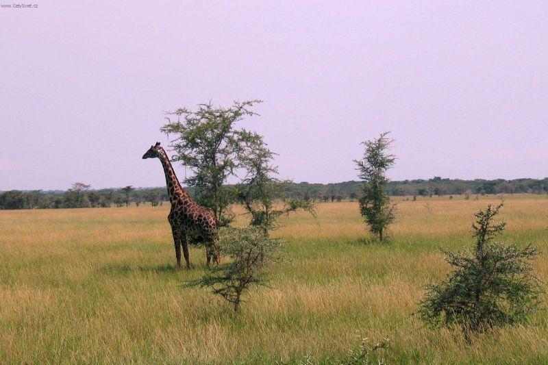 Foto: Tanzanie