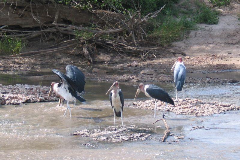 Foto: Tanzanie