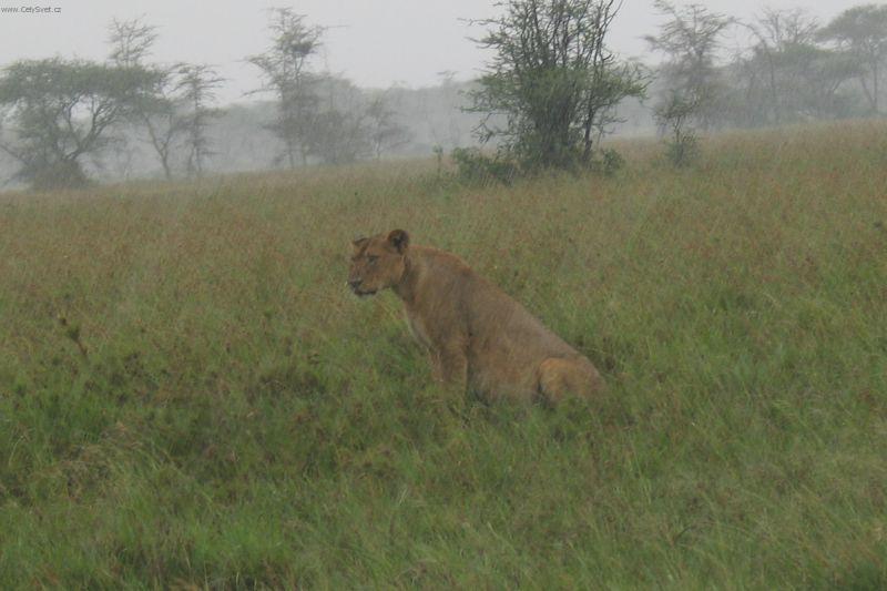 Foto: Tanzanie