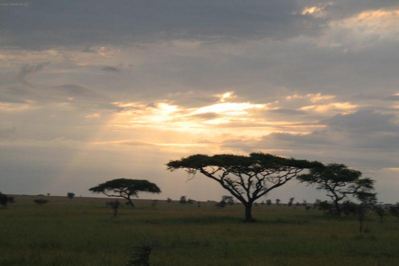Foto: Tanzanie