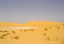 Mauret�nie