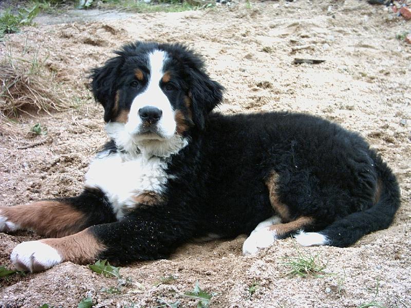 Foto: Malina 1