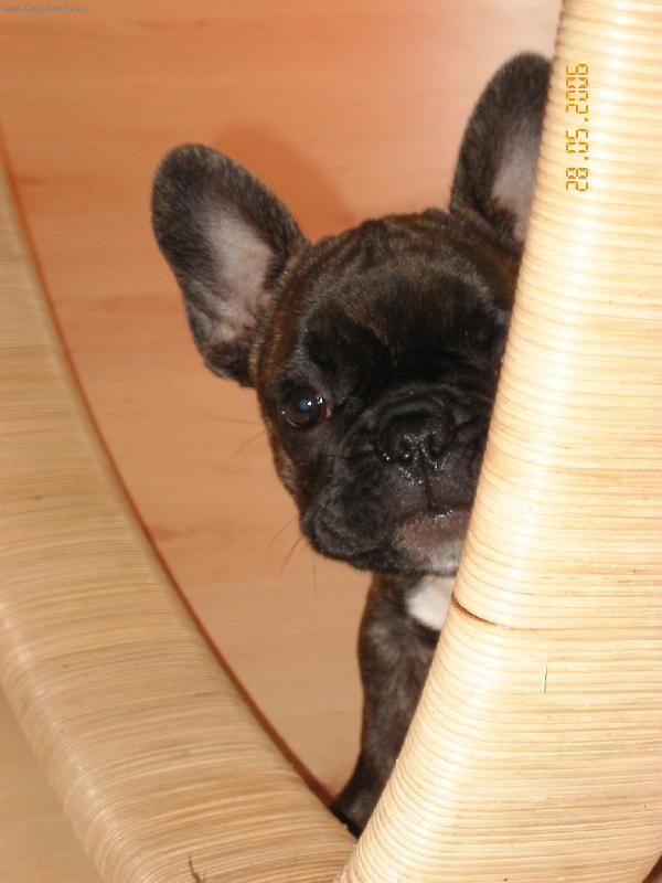 Foto: Vasil