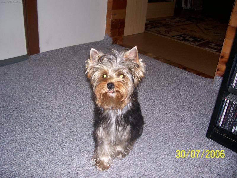 Foto: Bessy