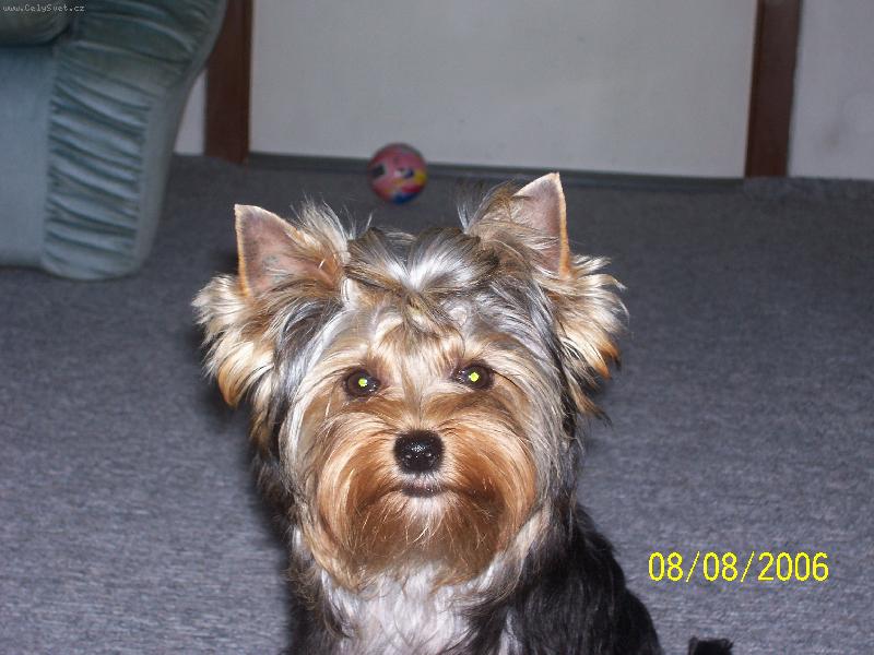 Foto: Bessy
