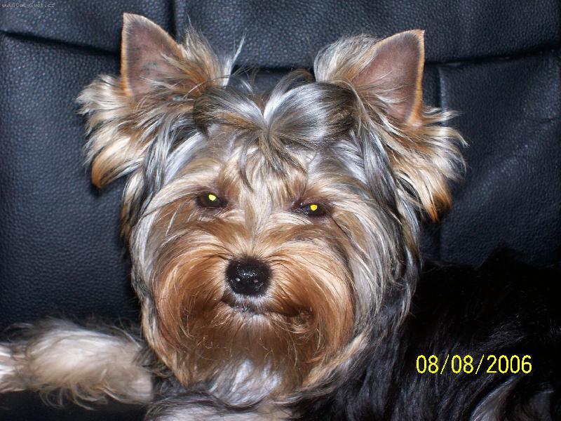 Foto: Bessy