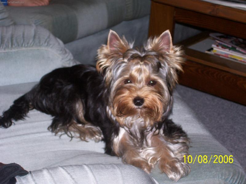 Foto: Bessy