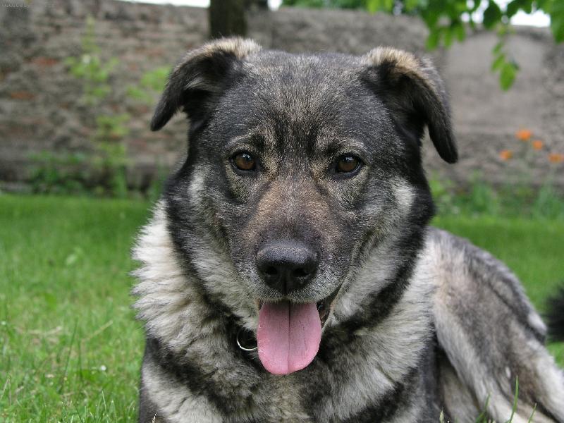 Foto: Peggy-Peggy