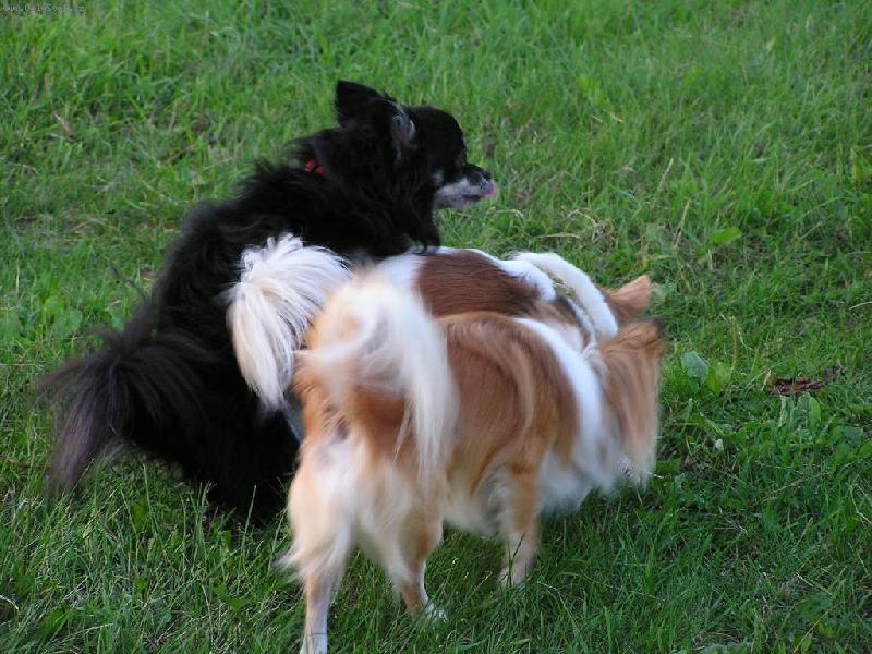 Foto: V�uka-Tak mladej koukej se, jak se to d�l� ...