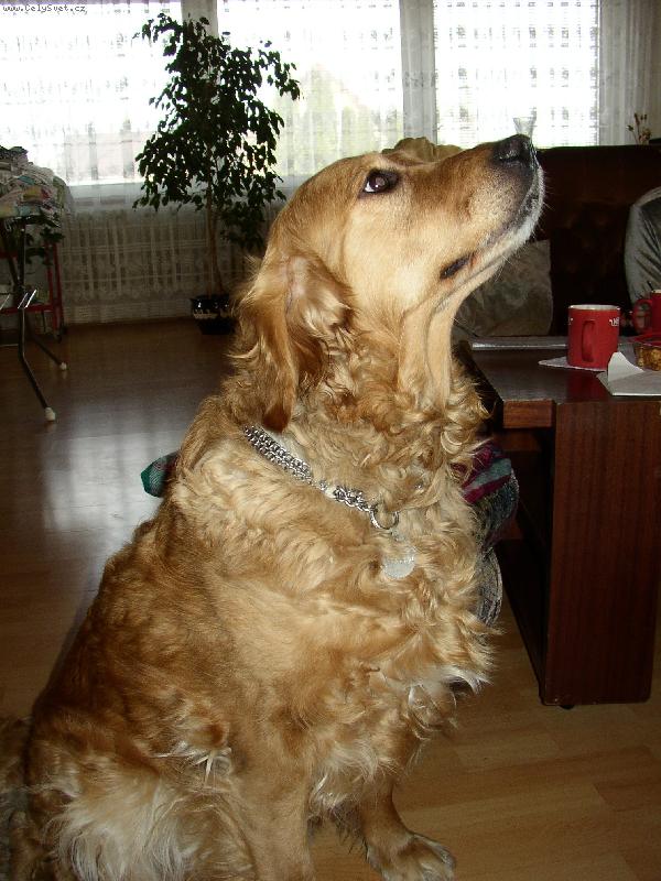 Foto: na�e Amina
