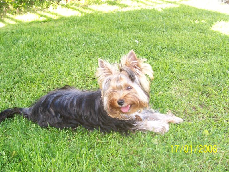 Foto: Bessy