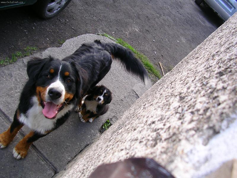 Foto: Max a Sam