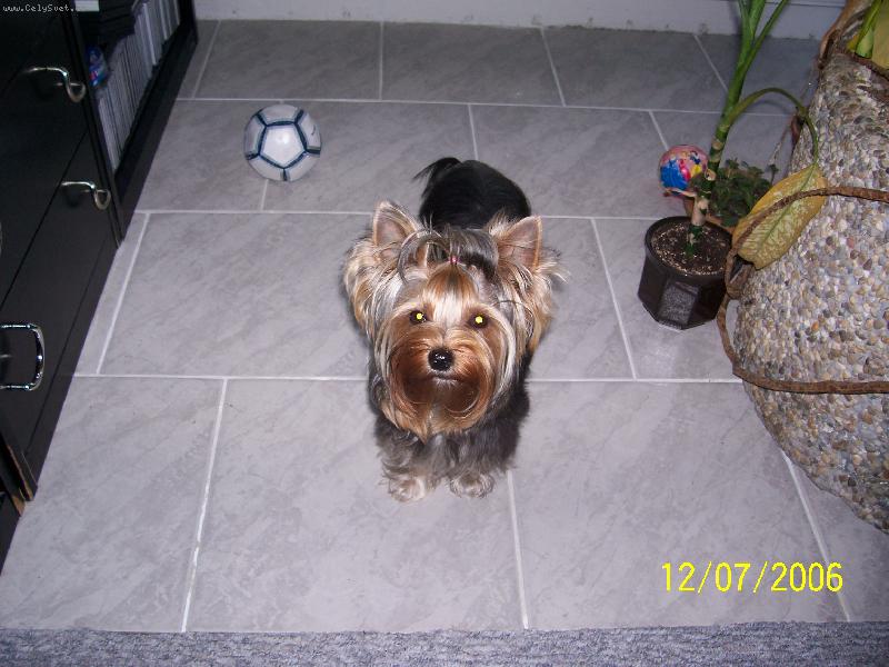 Foto: Bessy