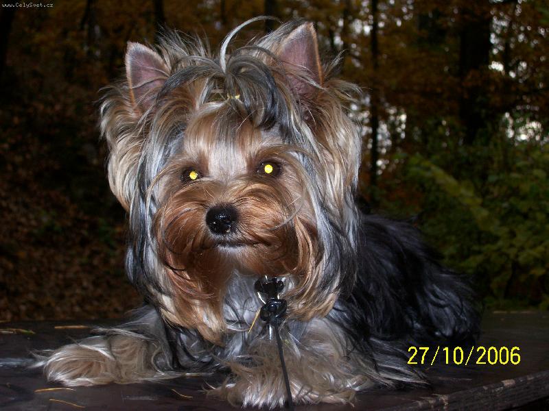 Foto: Bessy