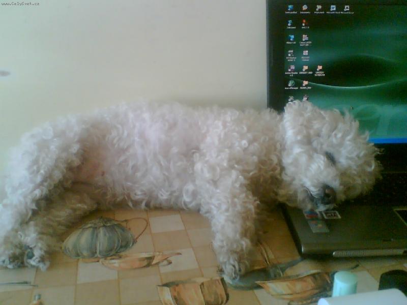 Foto: Arkinka