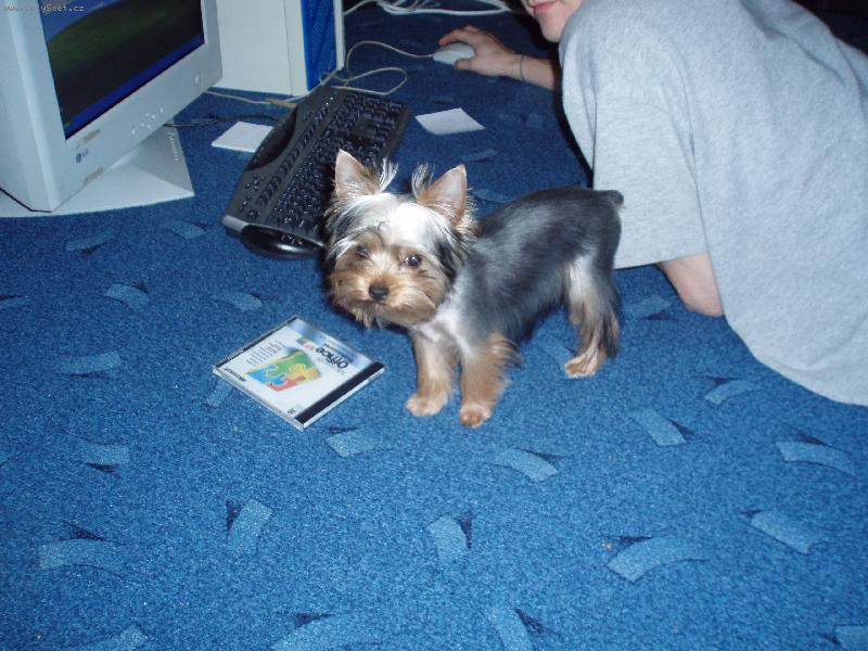 Foto: CoCo-:o)