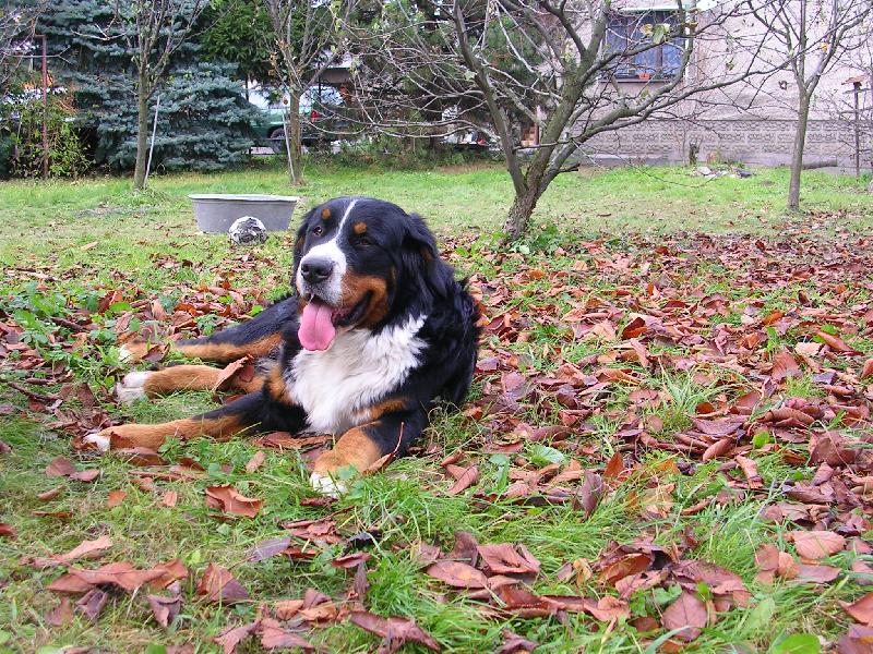 Foto: Max