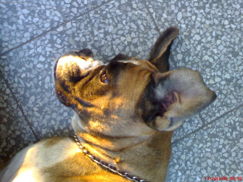 Foto: ...Betynka...