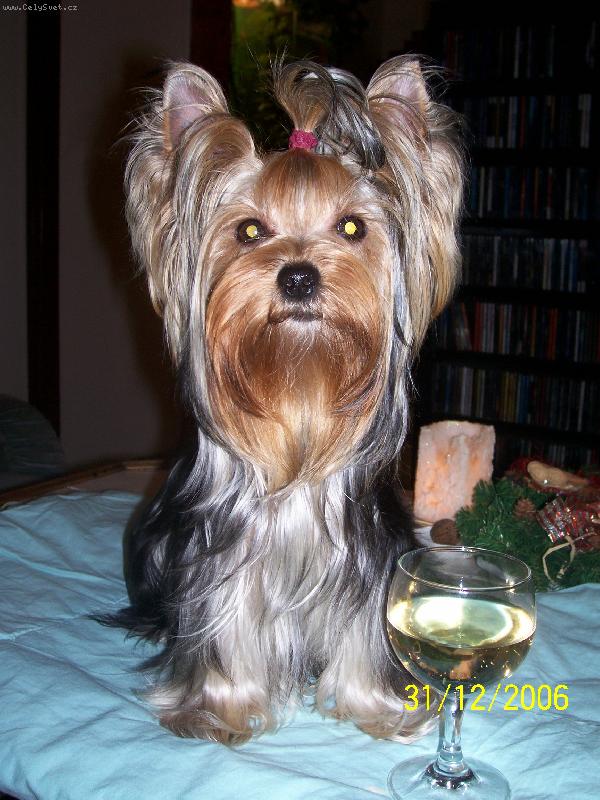 Foto: Bessy