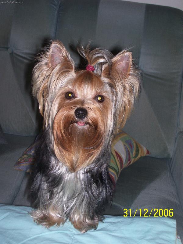 Foto: Bessy