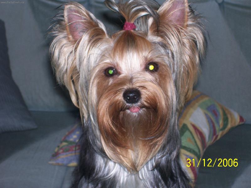 Foto: Bessy