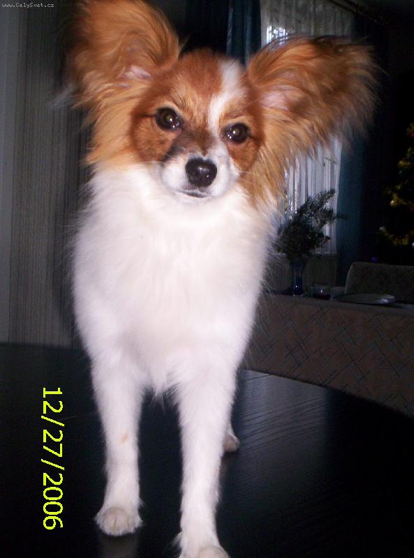 Foto: �jinka