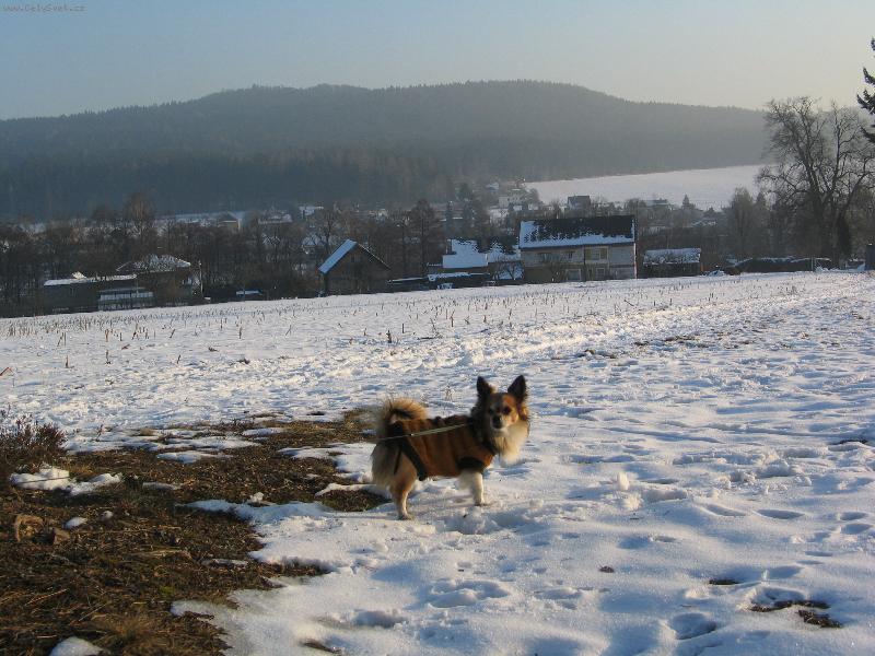 Foto: tak poj�