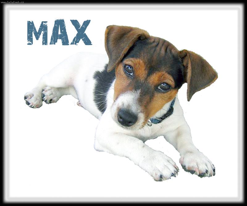 Foto: Max