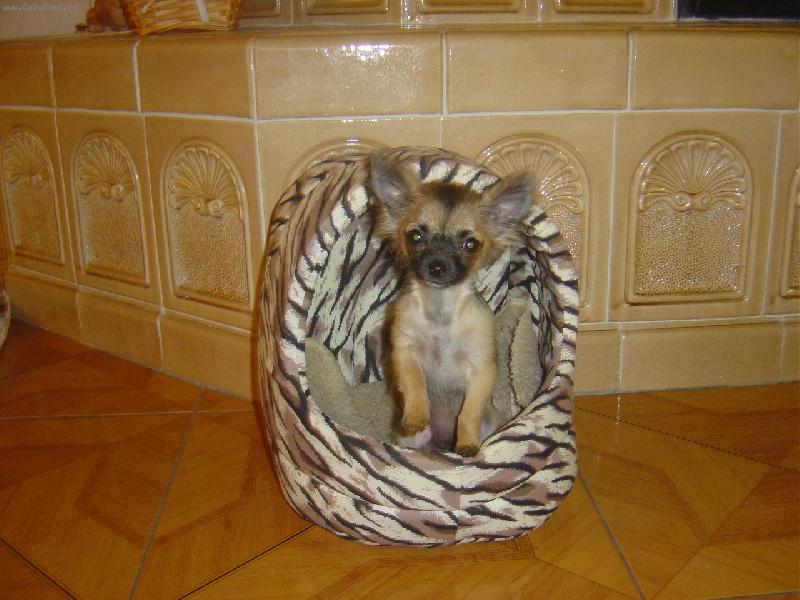 Foto: Tinu�ka