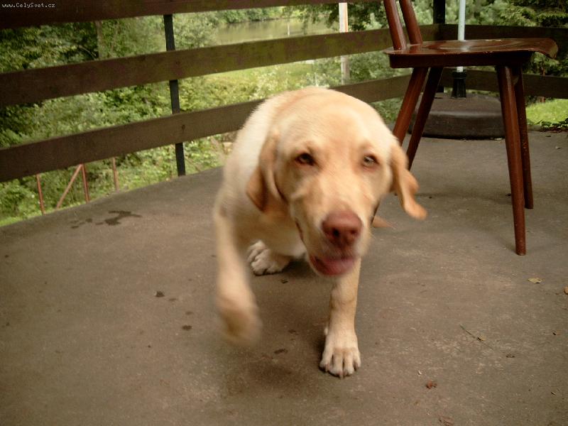 Foto: MAX