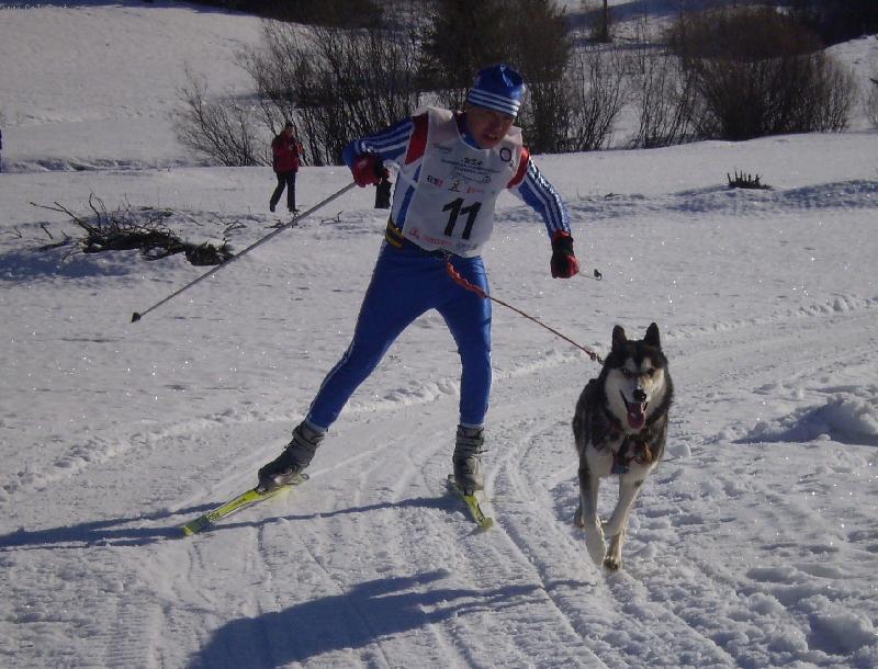 Foto: Husky-Husky