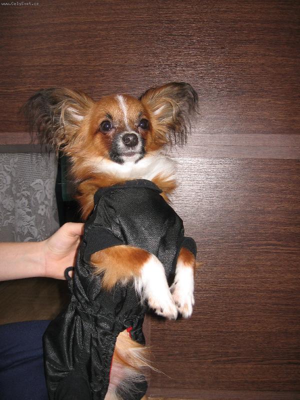 Foto: Denny-Denny