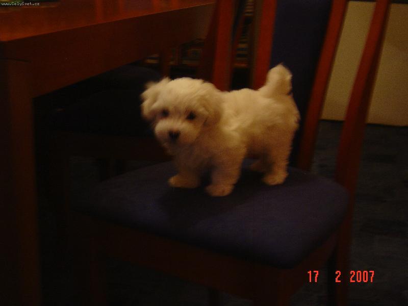 Foto: Charlie 2