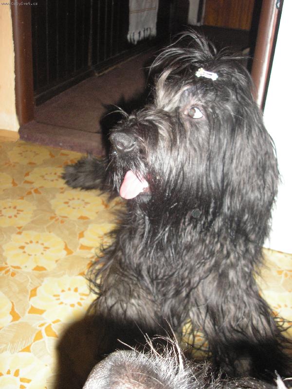 Foto: Eimi-D�ma