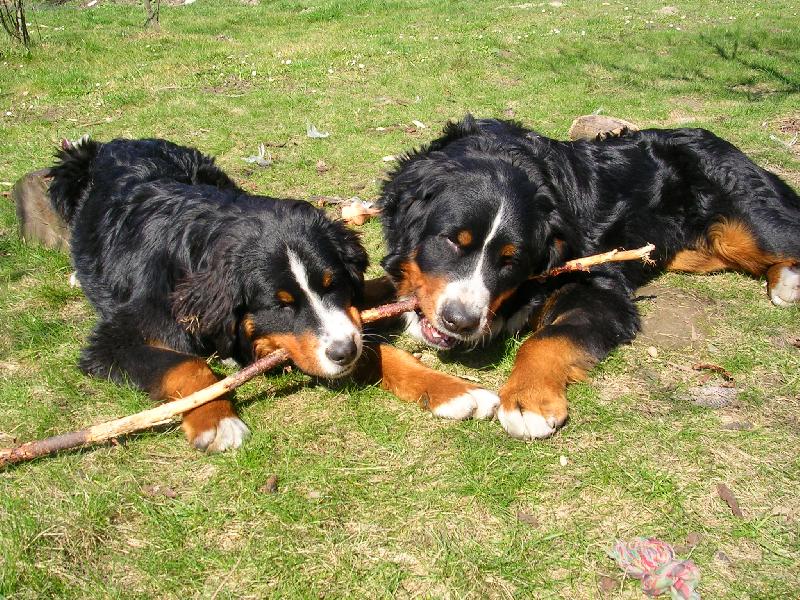 Foto: Max a Sam