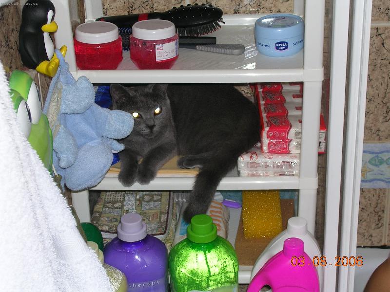 Foto: Britka-Baffy