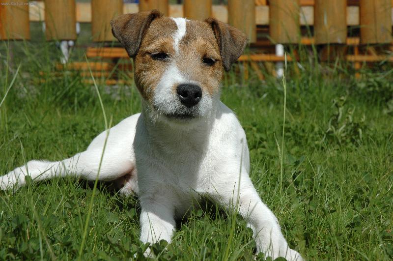 Foto: Rusty