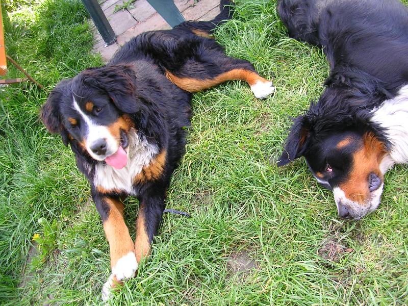 Foto: Max a Sam