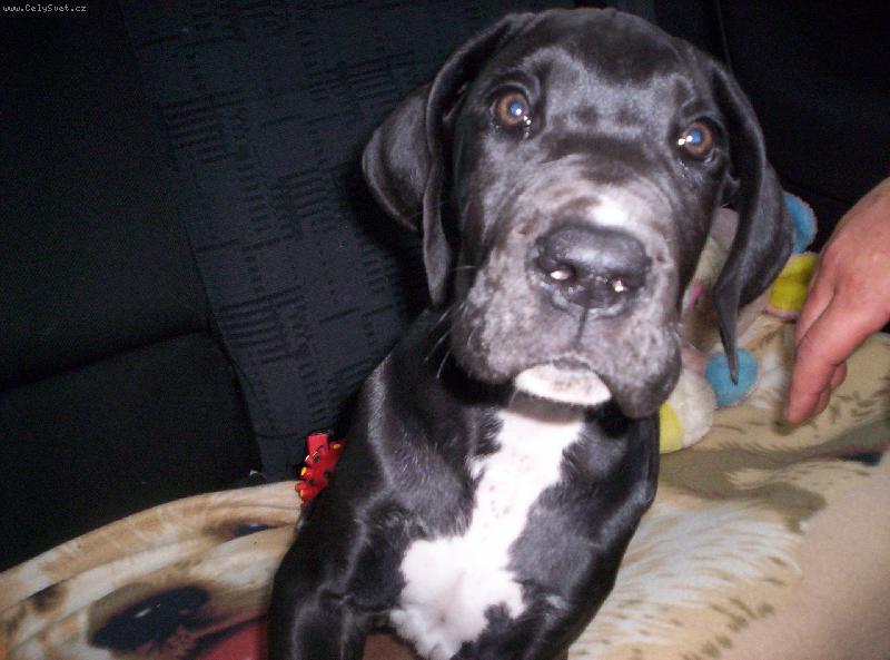 Foto: Charlie-Kuk