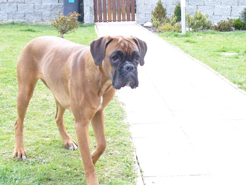 Foto: Barbra-Bonnie