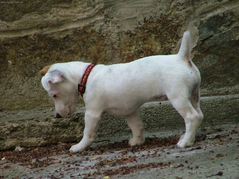 Foto: Tylda