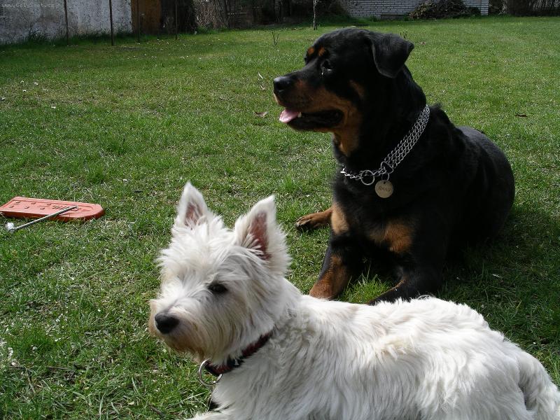 Foto: Scotty a Anny